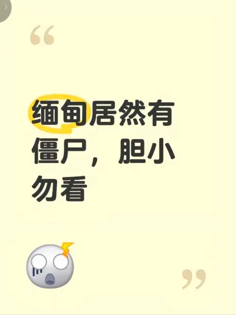 《缅甸僵尸出土事件》高清无删减版完整在线观看-揭秘缅北神秘事件真相全程录像
