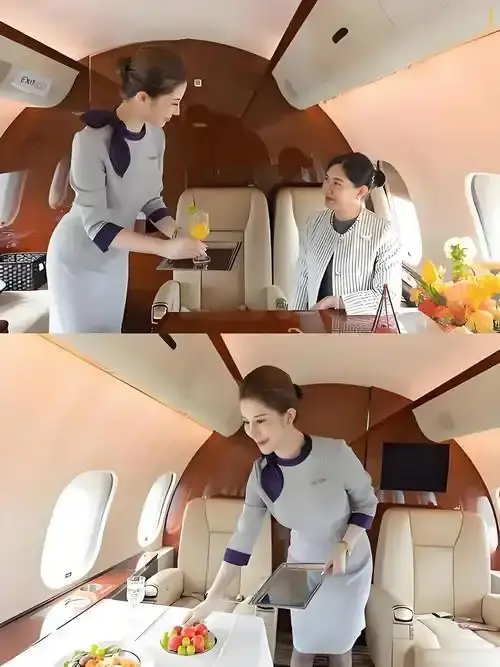 《私人航空/法国航空》完整版免费播放无弹窗-私人航空/法国航空未删减版高清在线观看-飘花影院